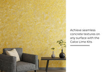 Load image into Gallery viewer, Seamless Wall Designed Using Calce Lime Kit By Evolve India
